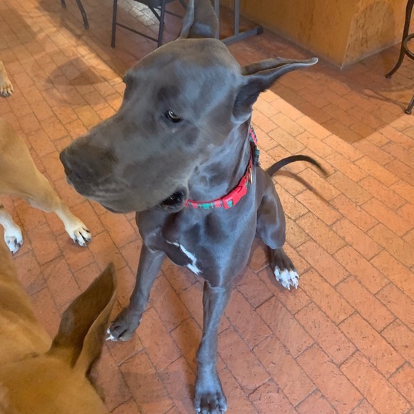 Meet your Posher, Brent - Picture 1 of 1